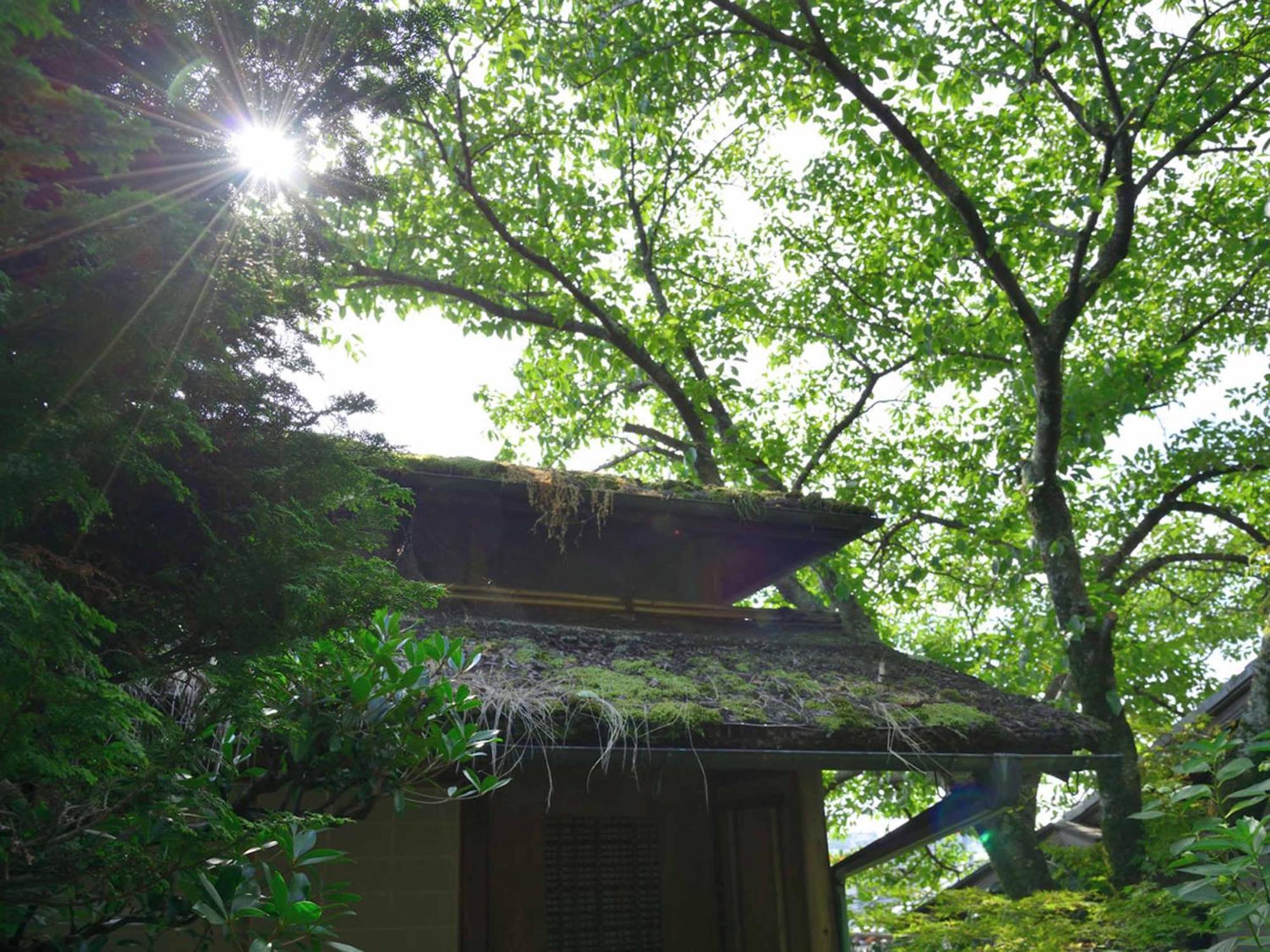 Bingoya Otel Kurashiki Dış mekan fotoğraf