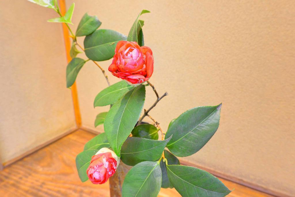Bingoya Otel Kurashiki Dış mekan fotoğraf